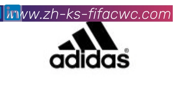 世界杯在线观看合作伙伴